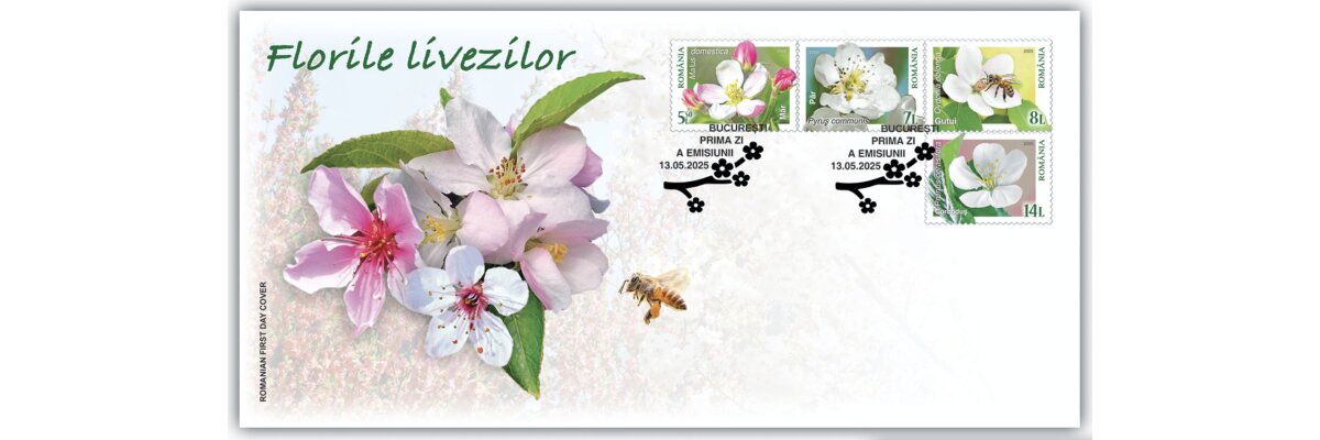 Blüten von Obstbäumen - 