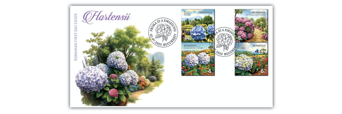 Blütenzauber - 