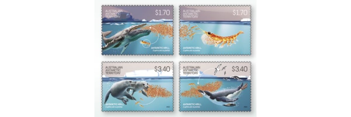 Krill - 