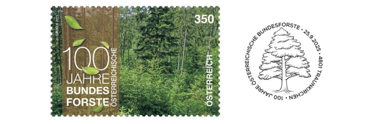 Wald - 