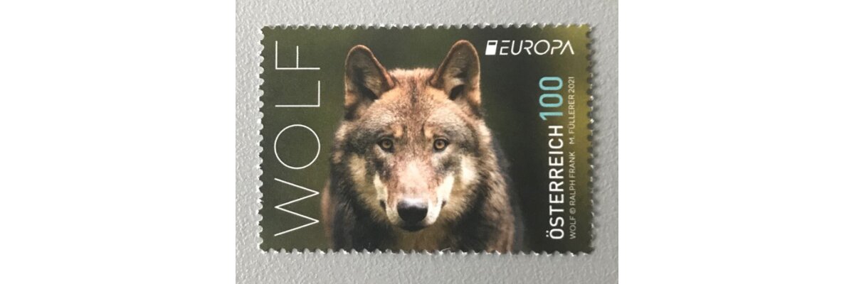 Der Wolf aus Österreich - 30 Wölfe in Österreich
