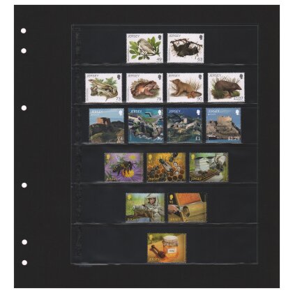 Schaubek-Blanko-Like - 10 feuilles noire 6 poches de feuille PVC 193 x 36 mm