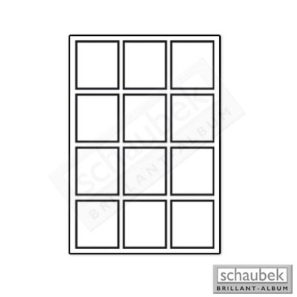 Ausziehtablett für Münzkoffer "Variant" 12 Fächer, 68 mm x 61 mm
