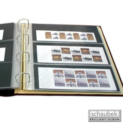 ring binder "Diplomat", incl. 20 stock sheets fo-103