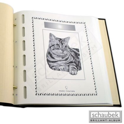 thematic title sheet cats