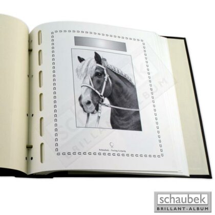 Feuille titre chevaux
