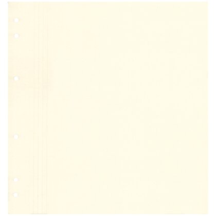 blank sheets, yellowish-white, totally blank 20 sheets per pack, (240g/m²)